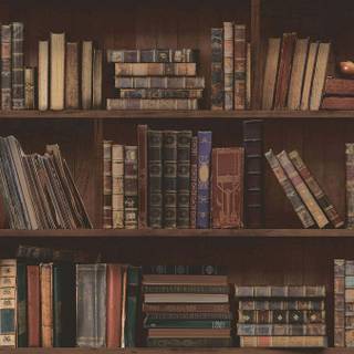 Magical library wallpaper