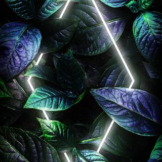 ETH iPhone wallpaper