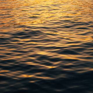 iPhone deep ocean wallpaper