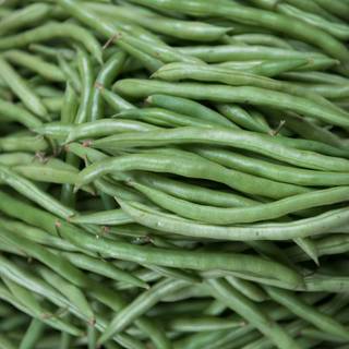 Green beans wallpaper