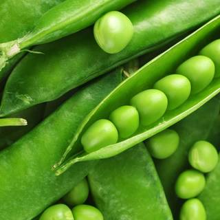 Green beans wallpaper