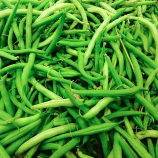 Green beans wallpaper