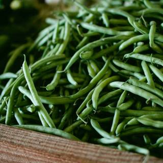 Green beans wallpaper