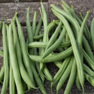 Green beans wallpaper
