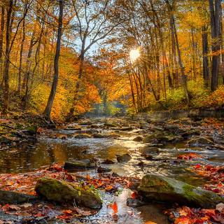 Vintage nature autumn wallpaper