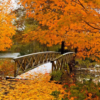 Preppy autumn desktop wallpaper