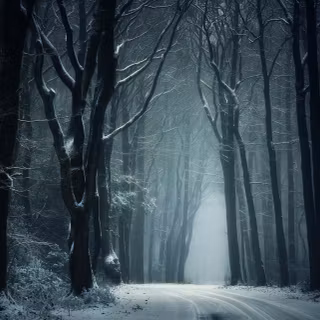 Foggy winter forest dark wallpaper
