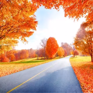 Autumn fantasy landscape wallpaper