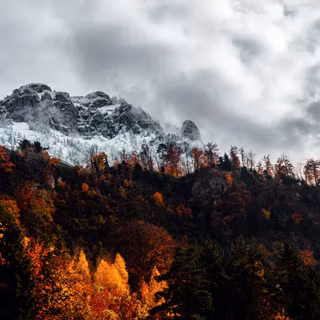 Autumn horizontal wallpaper