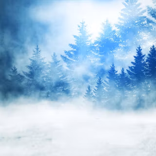 Foggy winter forest dark wallpaper