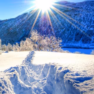 Winter mountain Android wallpaper