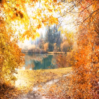 Autumn horizontal wallpaper