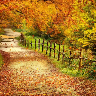 Autumn fantasy landscape wallpaper