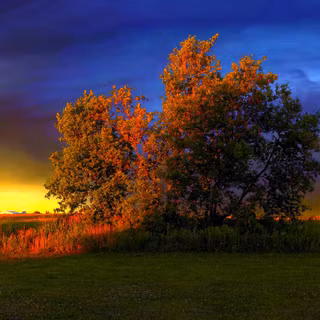 Autumn horizontal wallpaper