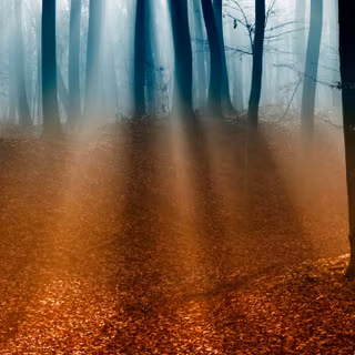 Autumn horizontal wallpaper