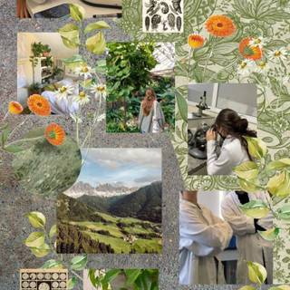 Plant biology wallpaper