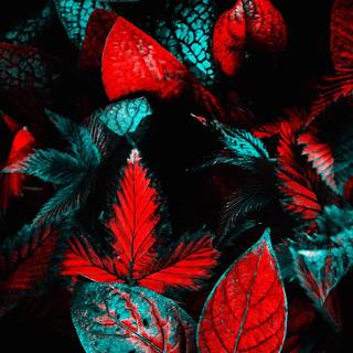 Plant biology wallpaper