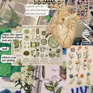 Plant biology wallpaper