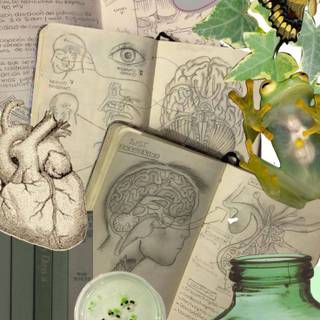 Plant biology wallpaper