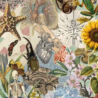 Plant biology wallpaper