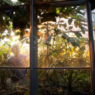 Plant biology wallpaper