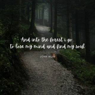 Deep meaning lines wallpaper