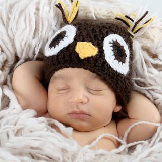 Cute boy sleeping wallpaper