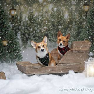 Tiny Christmas puppies wallpaper