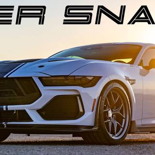 Shelby Super Snake logo wallpaper