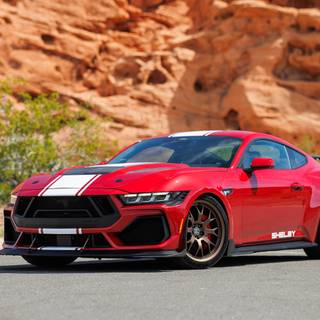 Shelby Super Snake logo wallpaper