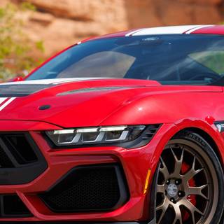 Shelby Super Snake logo wallpaper