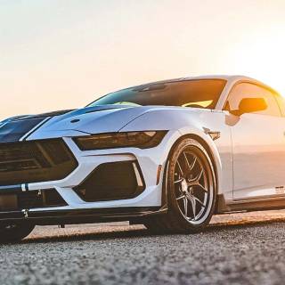 Shelby Super Snake logo wallpaper