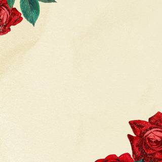 Red rose phone wallpaper