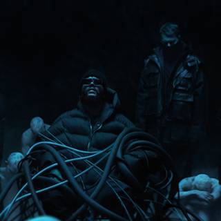 Moth To A Flame wallpaper