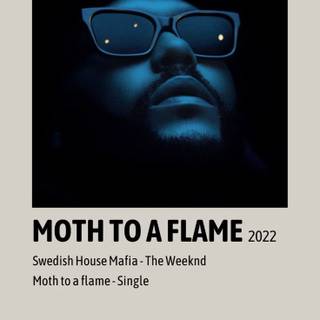 Moth To A Flame wallpaper