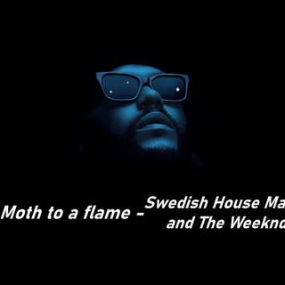 Moth To A Flame wallpaper