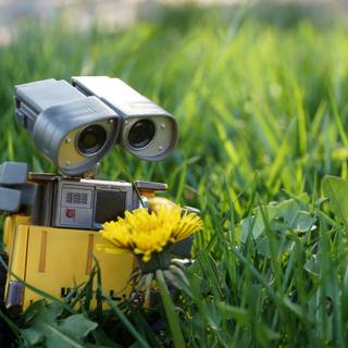 WALL-E robot wallpaper
