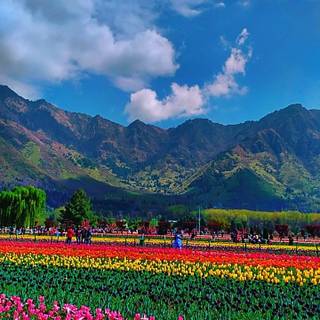 Vale of Kashmir wallpaper