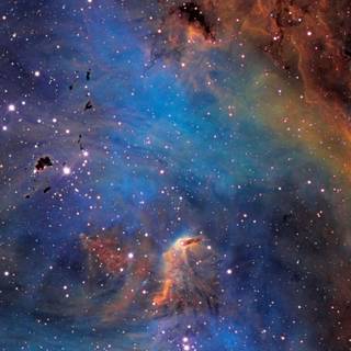 Chicken stars wallpaper