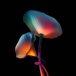 4k ultrawide oled wallpaper