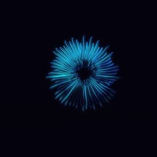 3440x1440 oled wallpaper