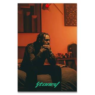 Post Malone Stoney wallpaper
