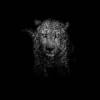 3440x1440 oled wallpaper