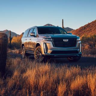 Cadillac car wallpaper