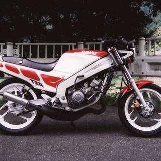 YAMAHA TZR wallpaper