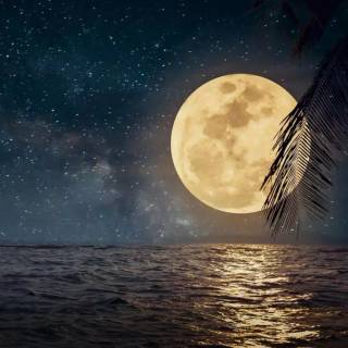 Beautiful moon wallpaper