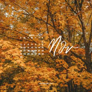 Aesthetic autumn computer wallpaper