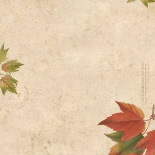 Autumn iPhone leaves wallpaper