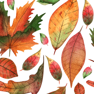 Autumn iPhone leaves wallpaper