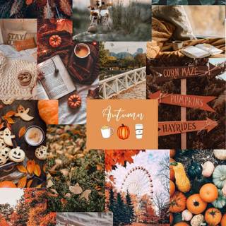 Autumn November iPad wallpaper